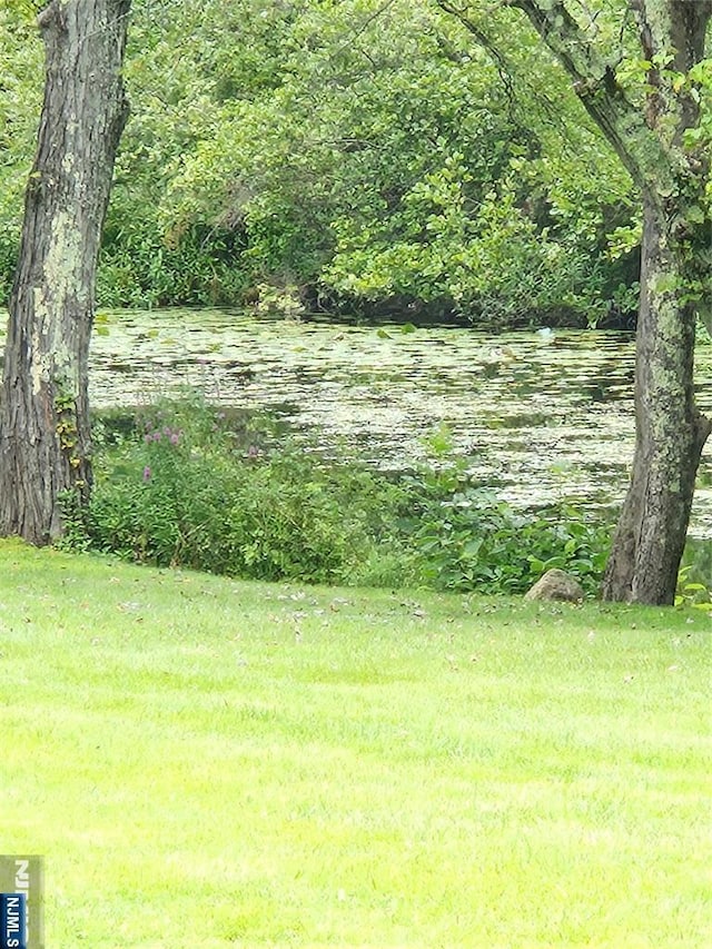 view of yard with a water view