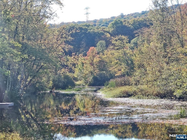 property view of water with a wooded view