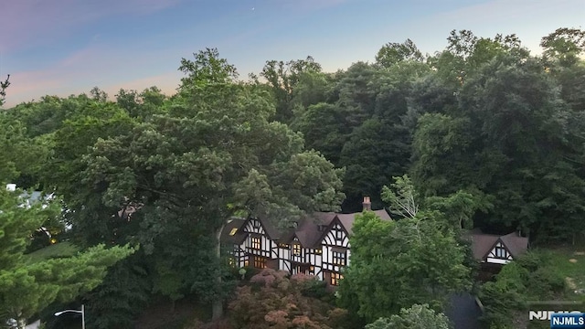 aerial view featuring a view of trees