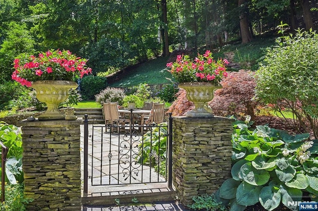 view of gate featuring a patio area