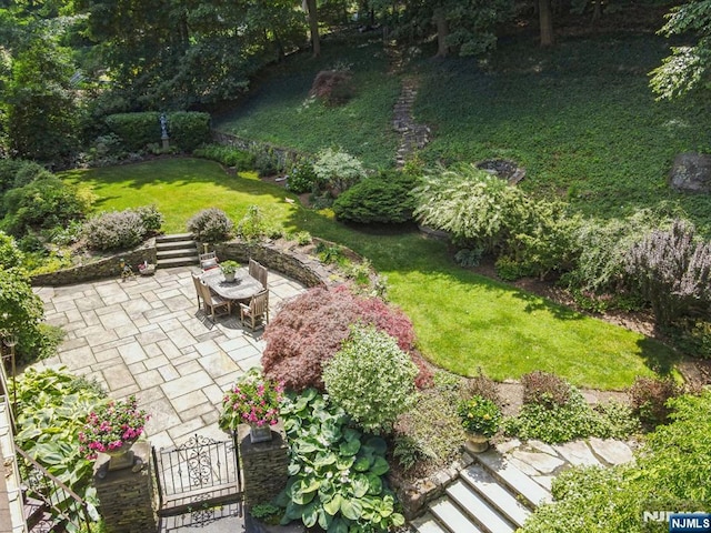 view of yard with a patio area