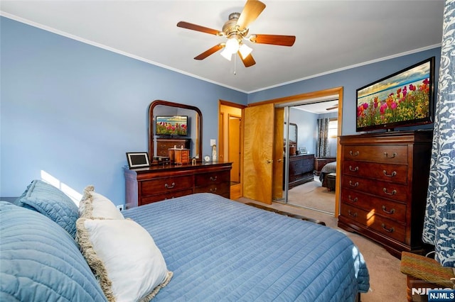 bedroom with ceiling fan, ornamental molding, a closet, and carpet