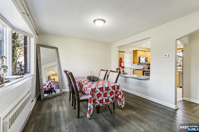 dining space with baseboards, dark wood finished floors, and radiator