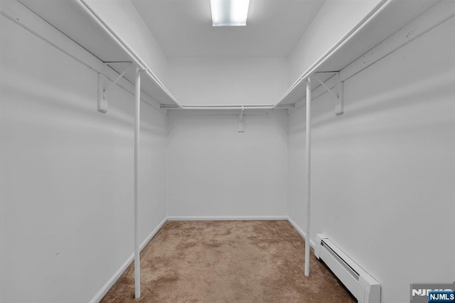 walk in closet featuring carpet and a baseboard radiator