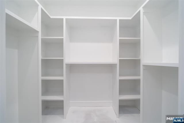 view of spacious closet