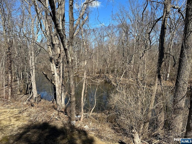 view of nature featuring a wooded view