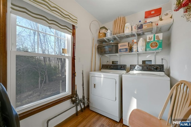 laundry room with laundry area, wood finished floors, and separate washer and dryer