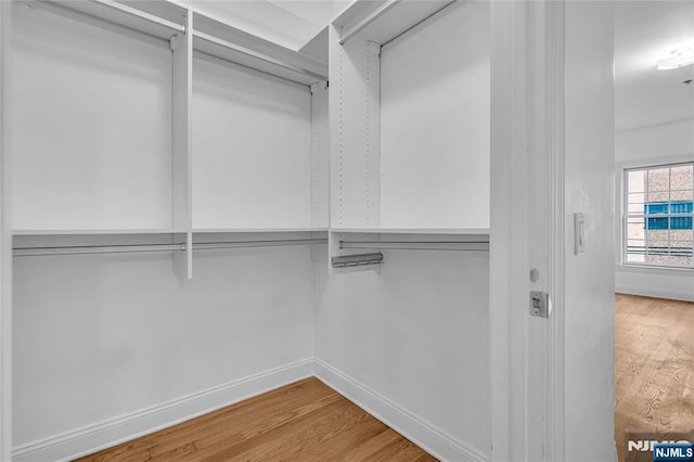 walk in closet with wood finished floors