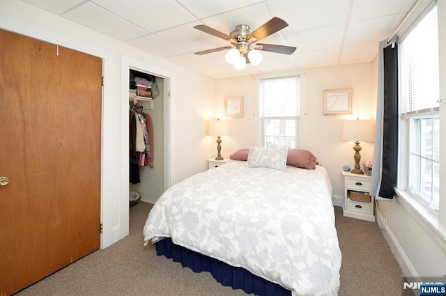 bedroom featuring a closet, carpet flooring, a paneled ceiling, and baseboards