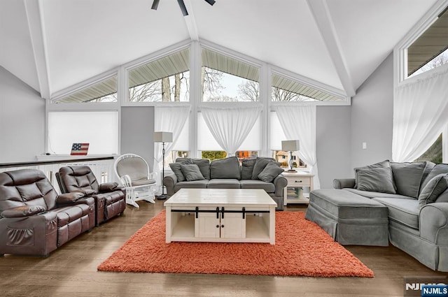 living room featuring high vaulted ceiling and wood finished floors