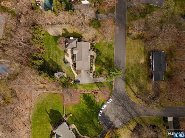 85 Buckhaven Hl, Upper Saddle River, NJ 07458 - bird's eye view