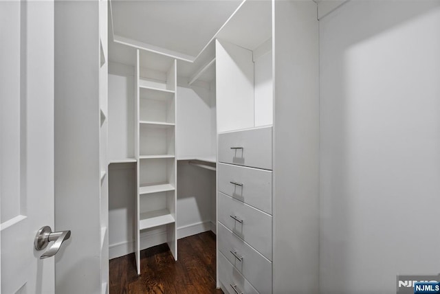 walk in closet with dark wood-style flooring