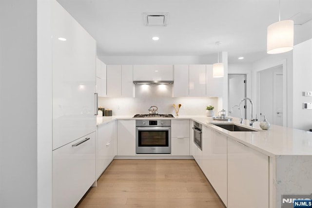 kitchen featuring stainless steel appliances, light wood finished floors, modern cabinets, and a sink