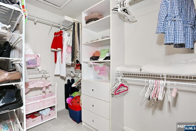 spacious closet featuring carpet flooring