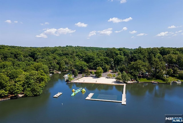 drone / aerial view with a water view and a view of trees