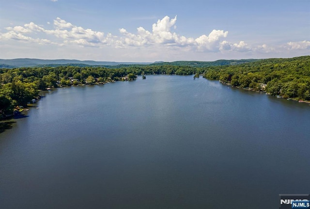 property view of water featuring a view of trees