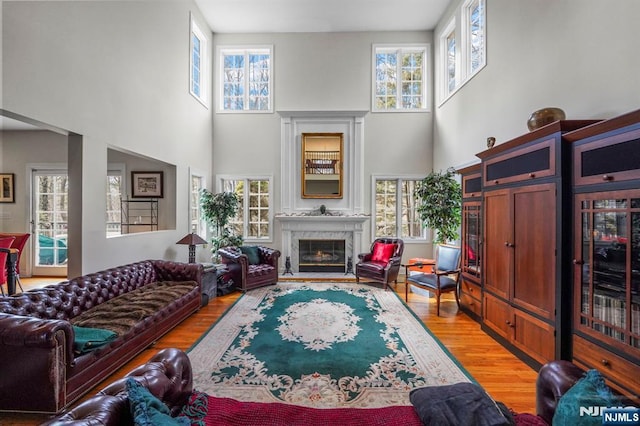 living area with light wood-type flooring, a healthy amount of sunlight, and a glass covered fireplace