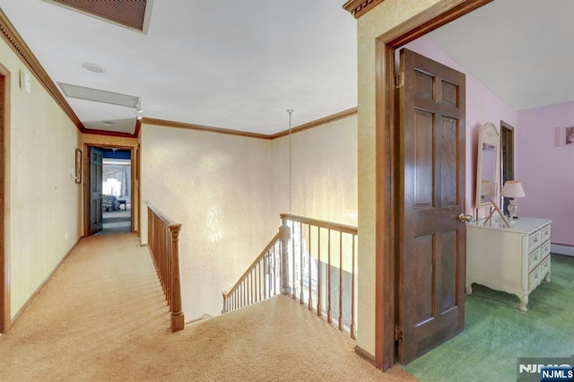 hall featuring an upstairs landing, carpet, and crown molding