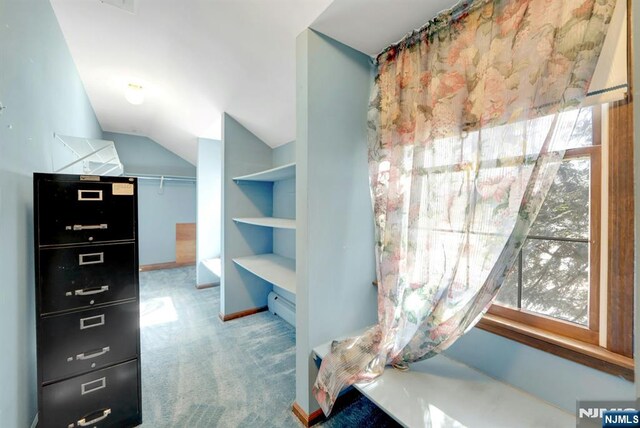 bathroom with a baseboard radiator, baseboards, and vaulted ceiling