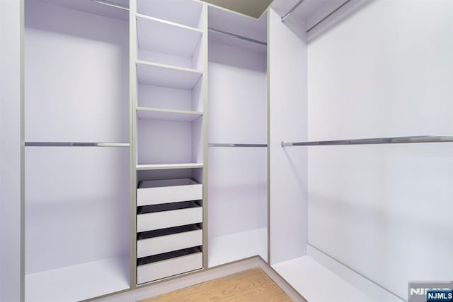 walk in closet with light wood-type flooring