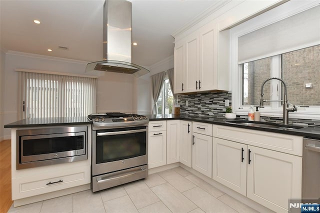 kitchen featuring ornamental molding, island range hood, stainless steel appliances, and a sink