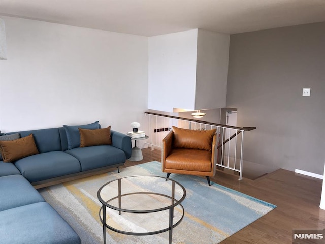 living area featuring radiator and wood finished floors