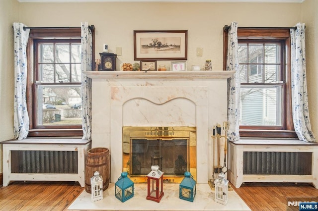 living room with a wealth of natural light, radiator heating unit, and wood finished floors