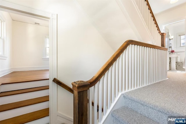 stairway with carpet flooring