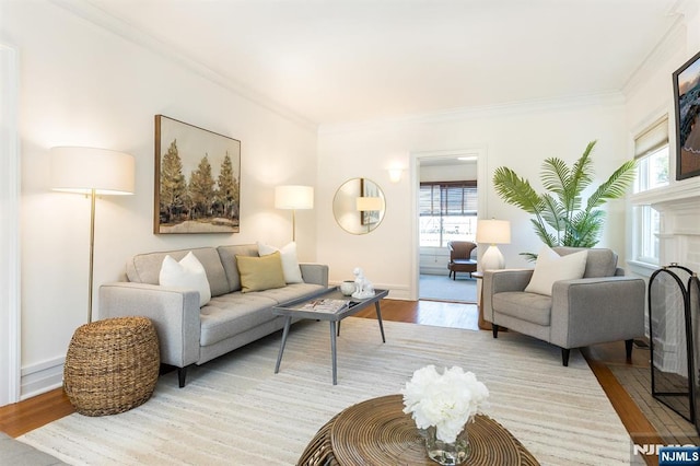 living room with light wood finished floors, a fireplace, and ornamental molding