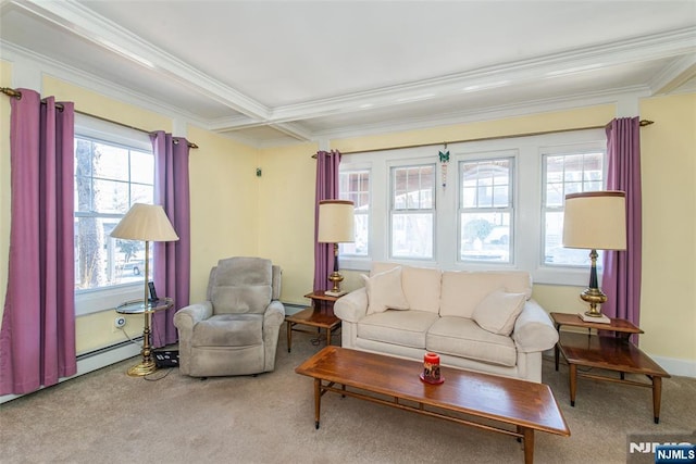 living room featuring ornamental molding, carpet, baseboard heating, and a baseboard radiator