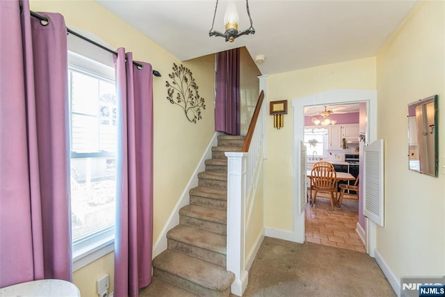 staircase featuring a healthy amount of sunlight, baseboards, and carpet floors