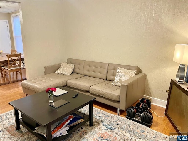 living room featuring a textured wall, a drop ceiling, wood finished floors, and baseboards