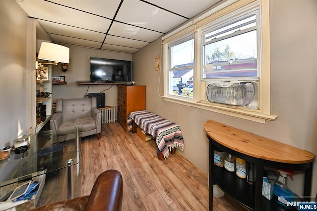 living area featuring a drop ceiling and wood finished floors