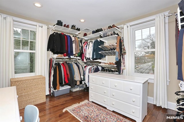 spacious closet featuring dark wood-style flooring