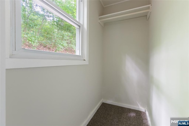 view of walk in closet