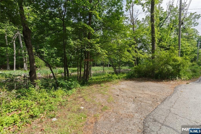 view of local wilderness