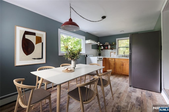 dining space featuring a healthy amount of sunlight and light wood-style flooring