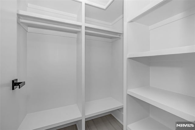 view of walk in closet