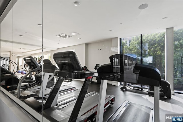 workout area featuring a healthy amount of sunlight, expansive windows, and visible vents