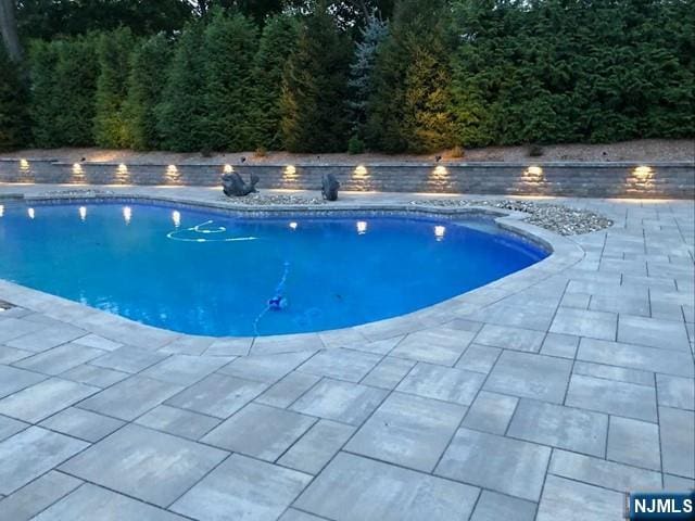 pool with a patio area