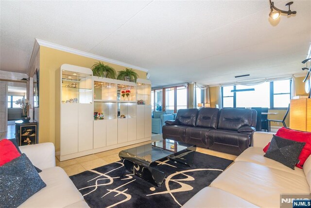 tiled living area featuring crown molding