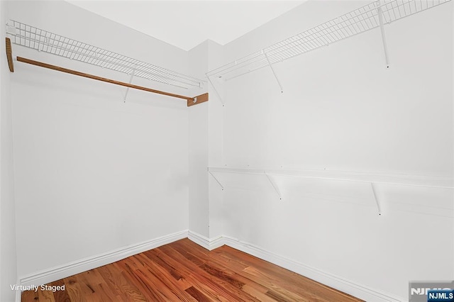 spacious closet featuring wood finished floors