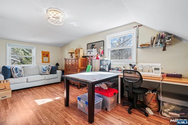 office with vaulted ceiling and wood finished floors