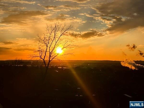 view of nature at dusk