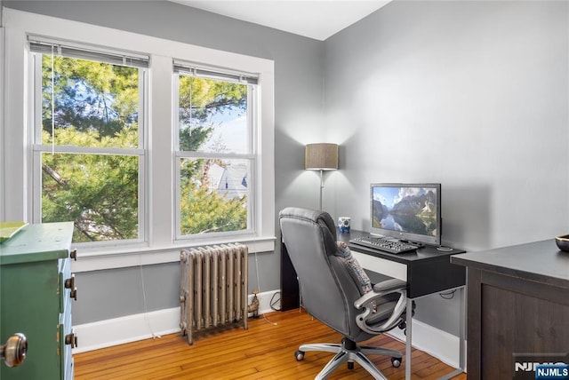 office with hardwood / wood-style floors, radiator, baseboards, and a wealth of natural light