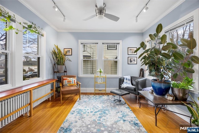 living area featuring rail lighting, wood finished floors, and ornamental molding