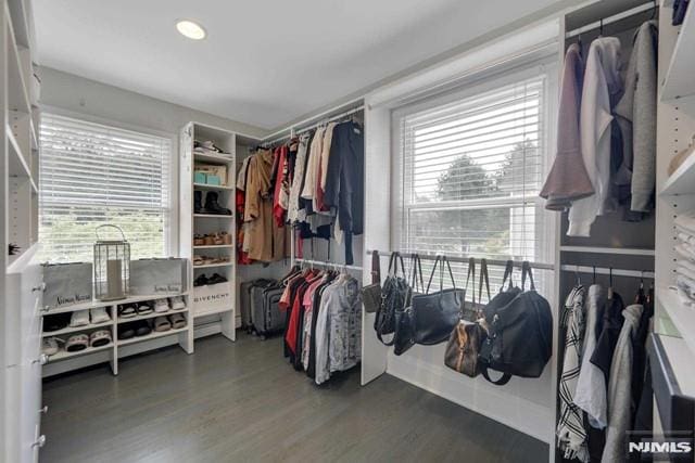 spacious closet with wood finished floors