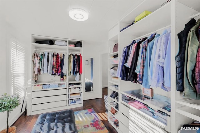 walk in closet featuring wood finished floors