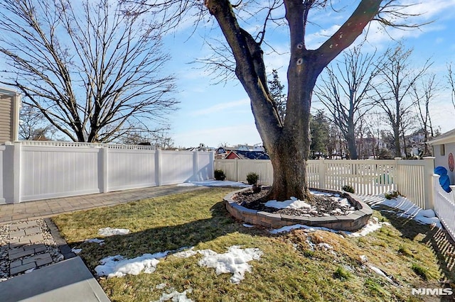 view of yard featuring a fenced backyard