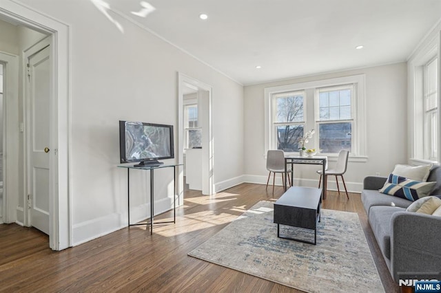 living area featuring ornamental molding, baseboards, and wood finished floors